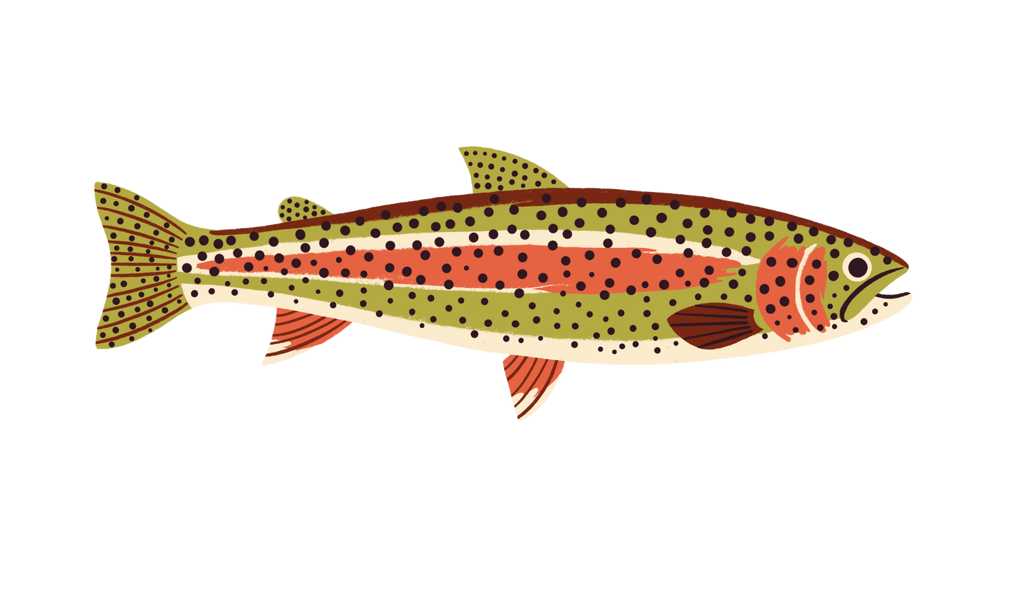 Native Trout Sticker