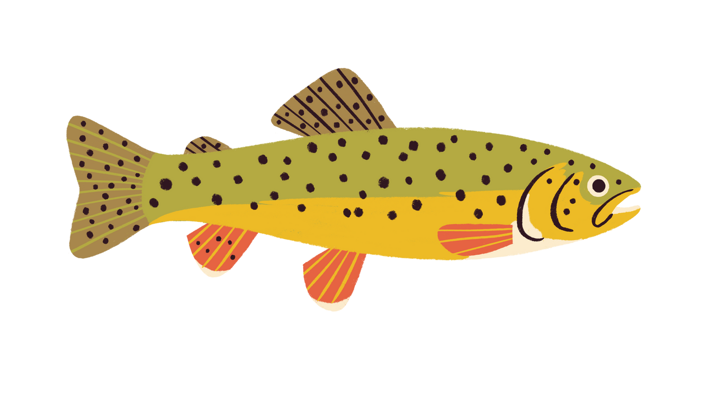 Native Trout Sticker