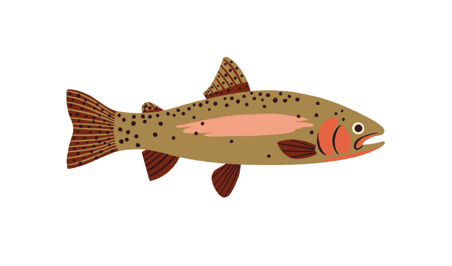 Native Trout Sticker