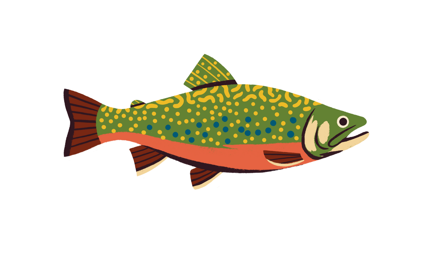 Native Trout Sticker