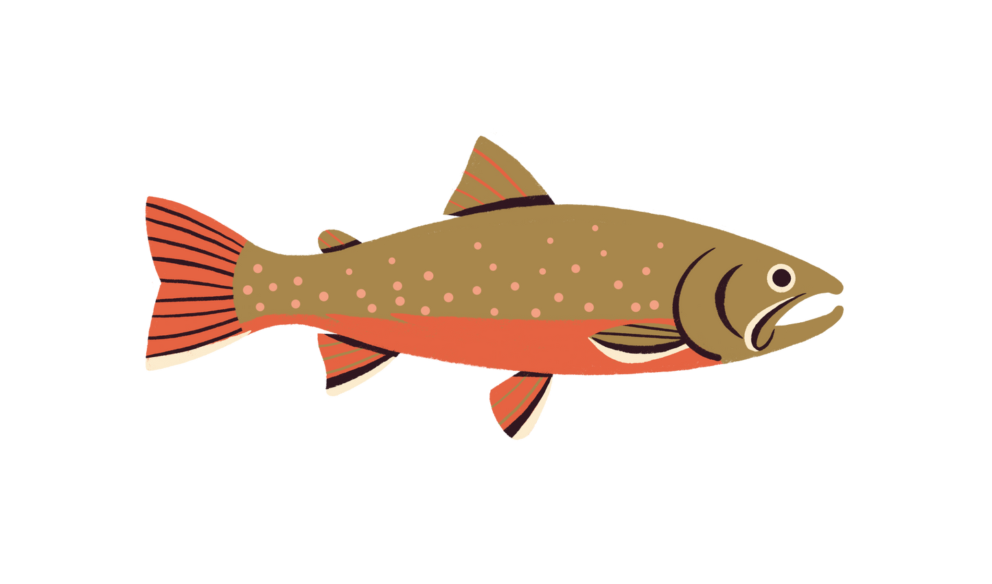 Native Trout Sticker