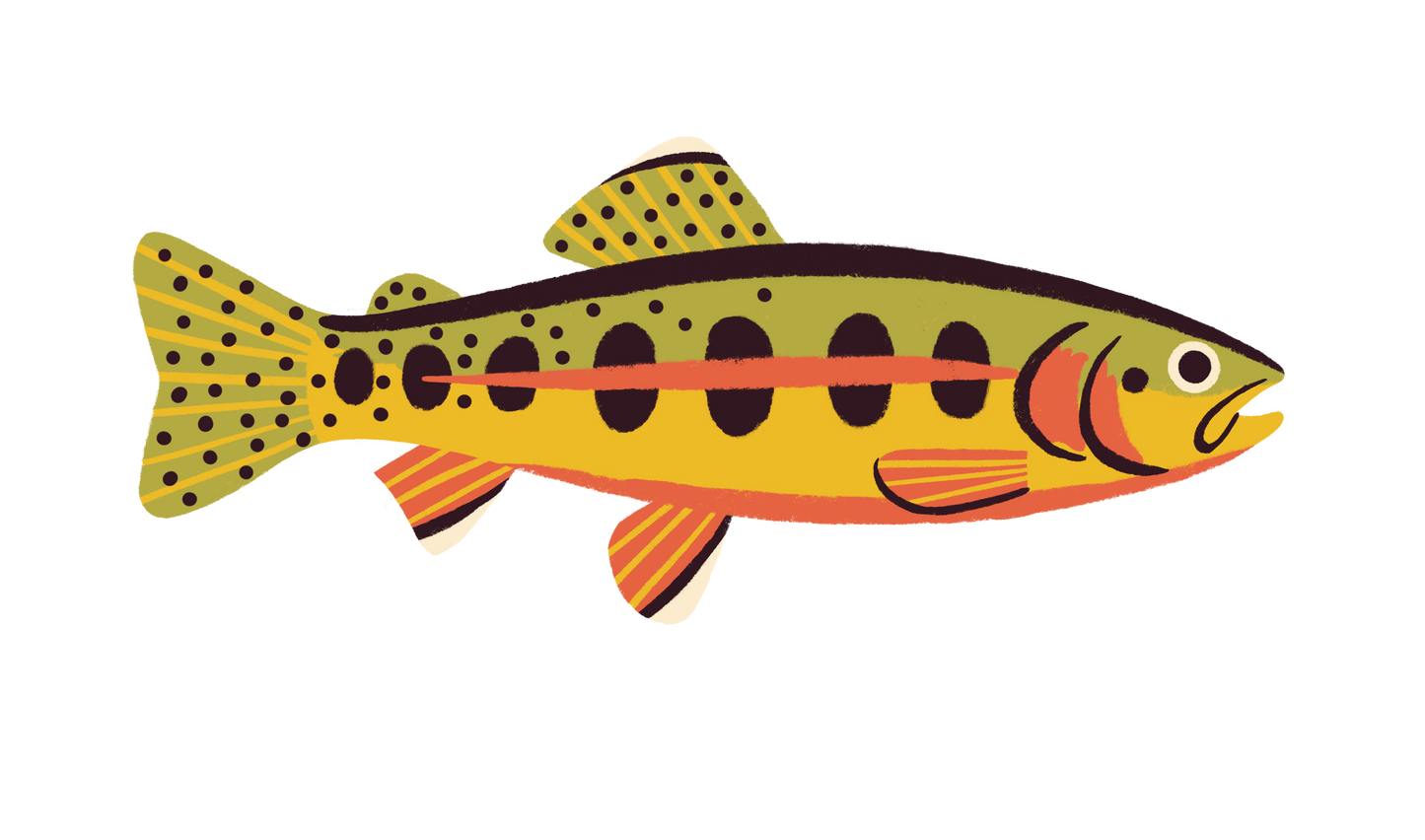 Native Trout Sticker