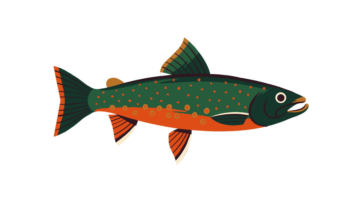 Native Trout Sticker