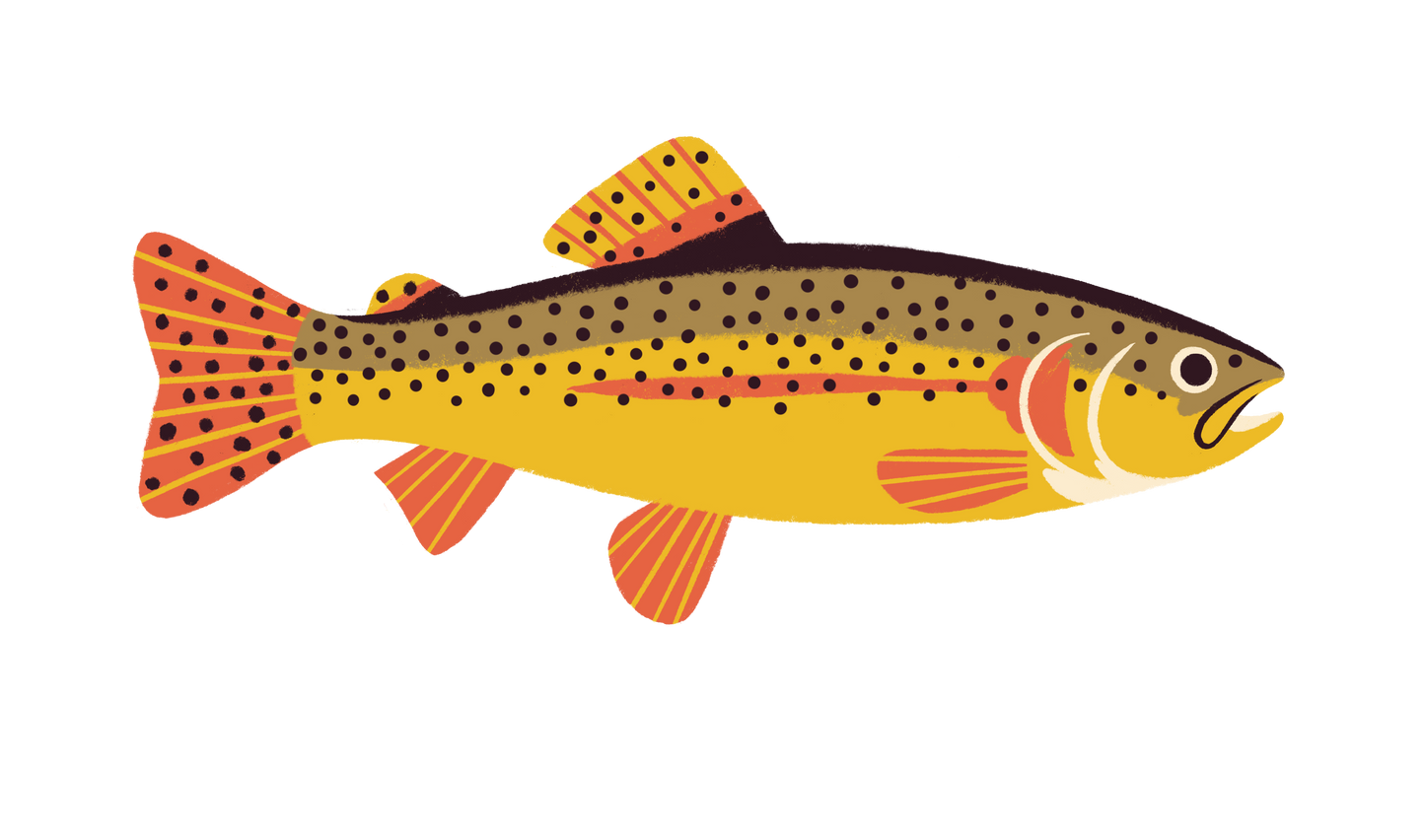 Native Trout Sticker