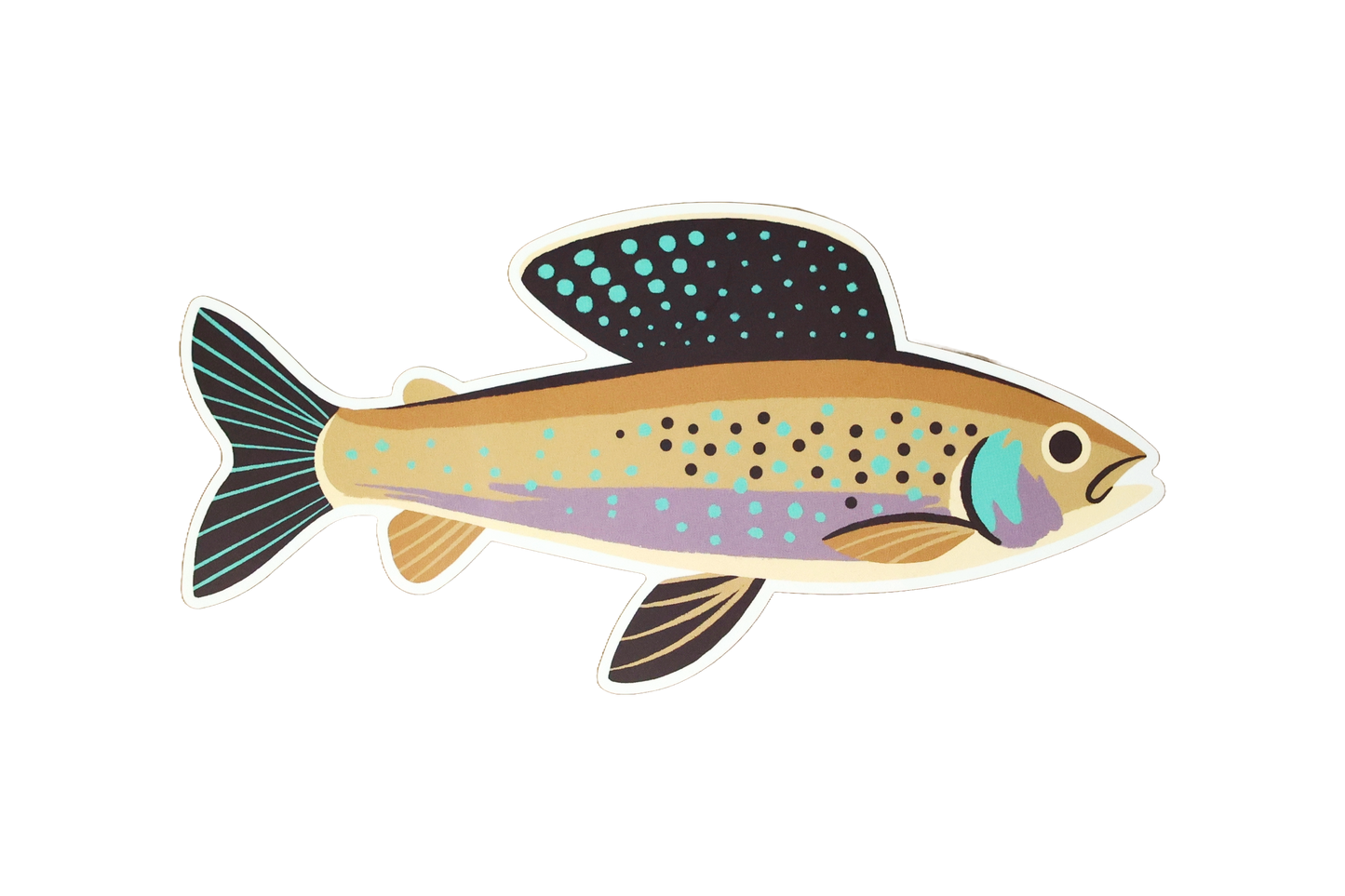 Native Trout Sticker