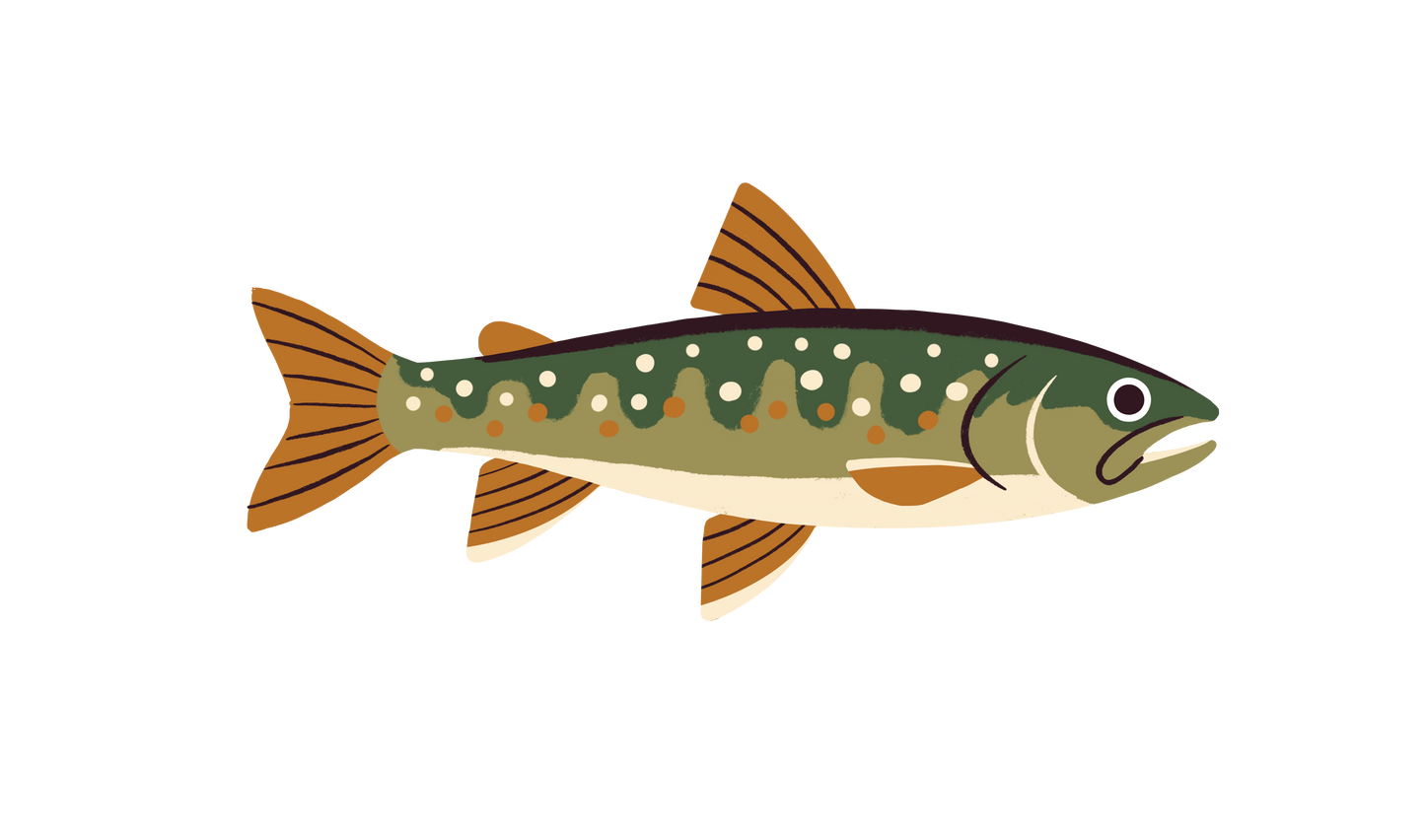 Native Trout Sticker