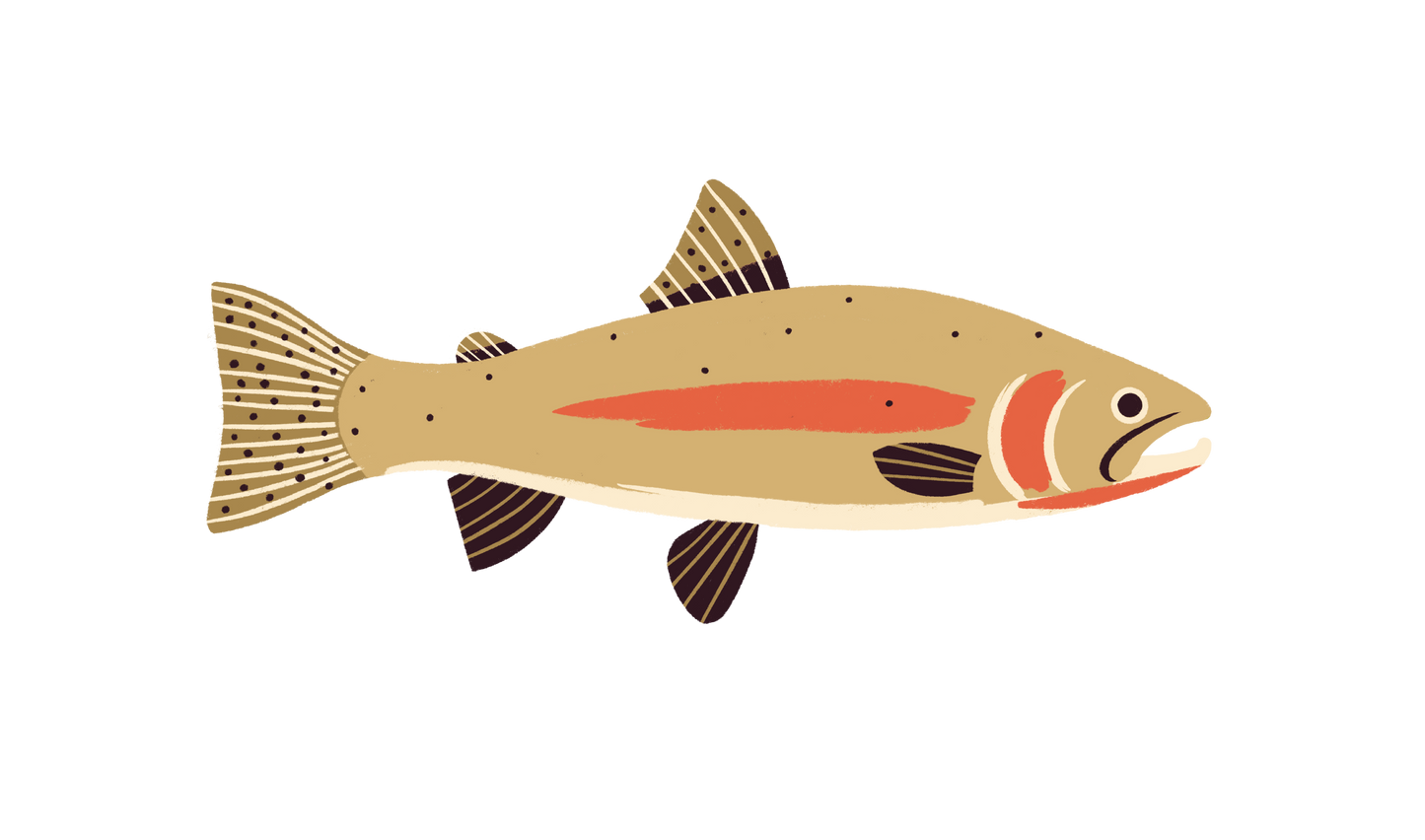 Native Trout Sticker