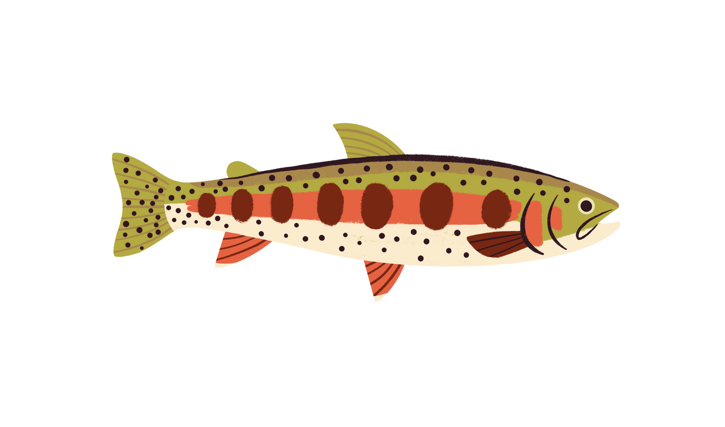 Native Trout Sticker