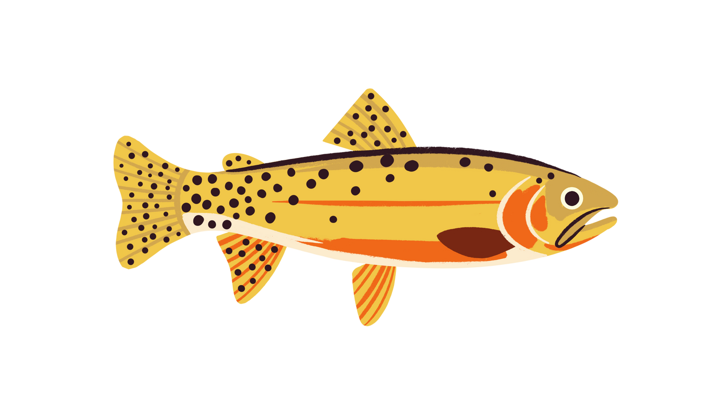 Native Trout Sticker