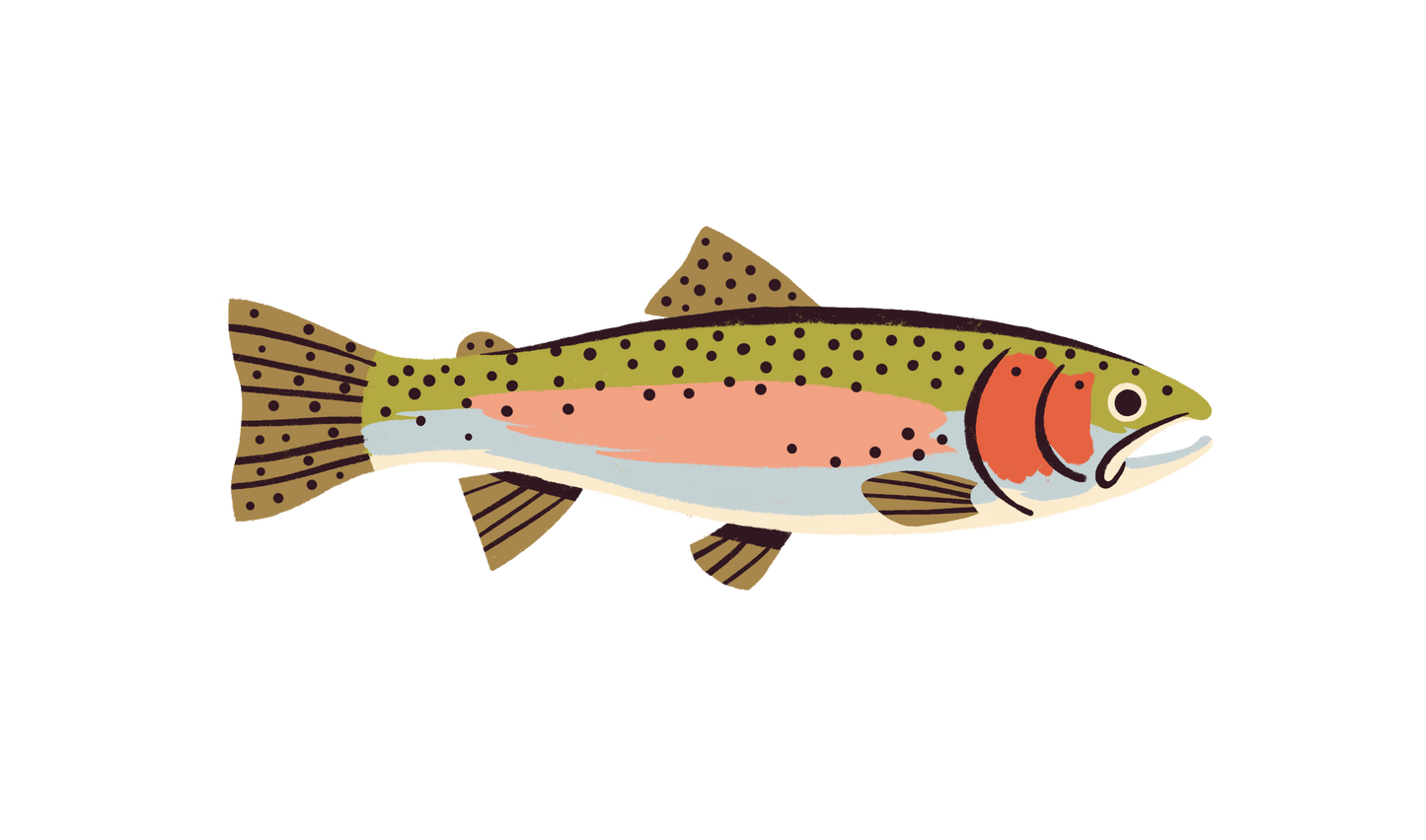 Native Trout Sticker