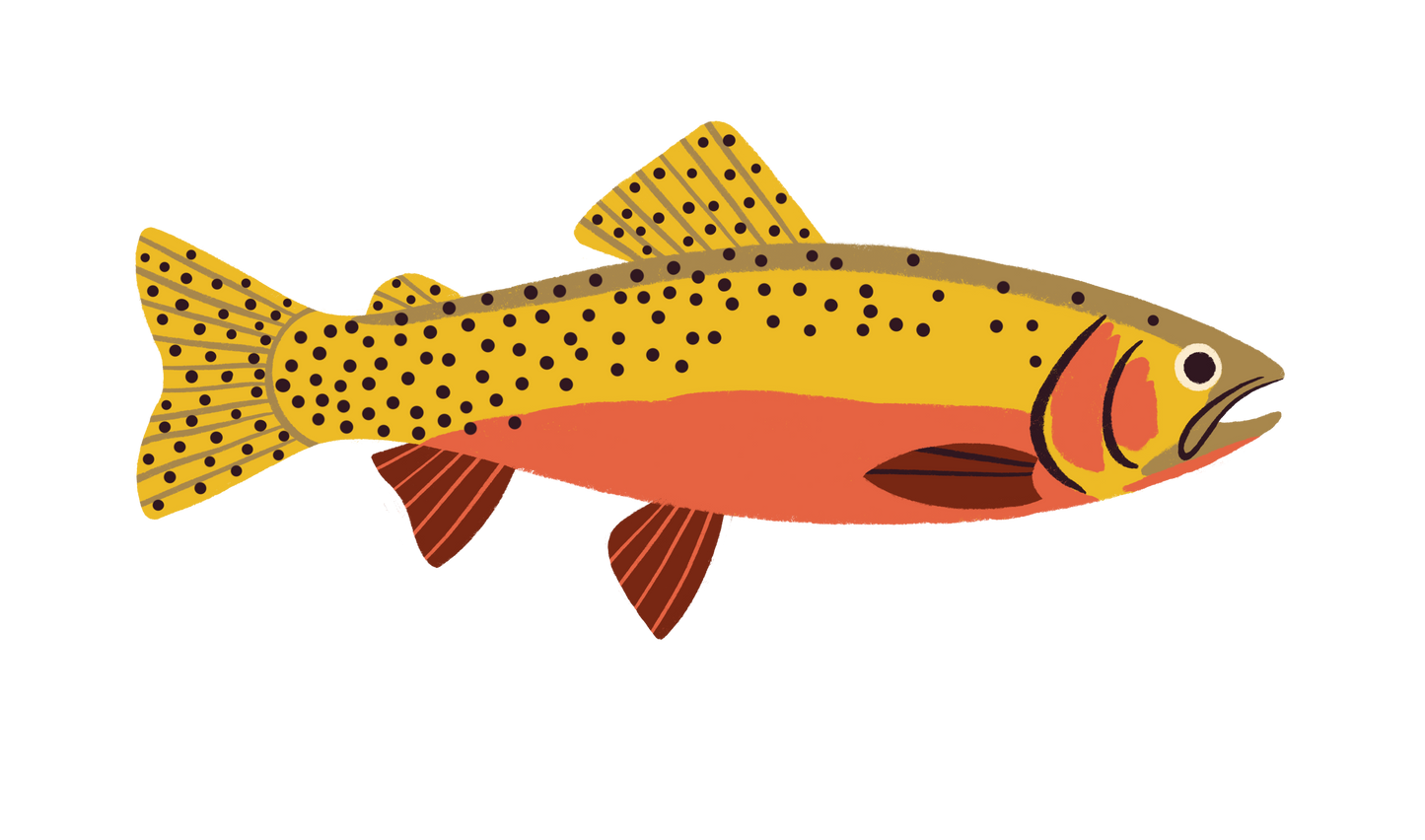 Native Trout Sticker