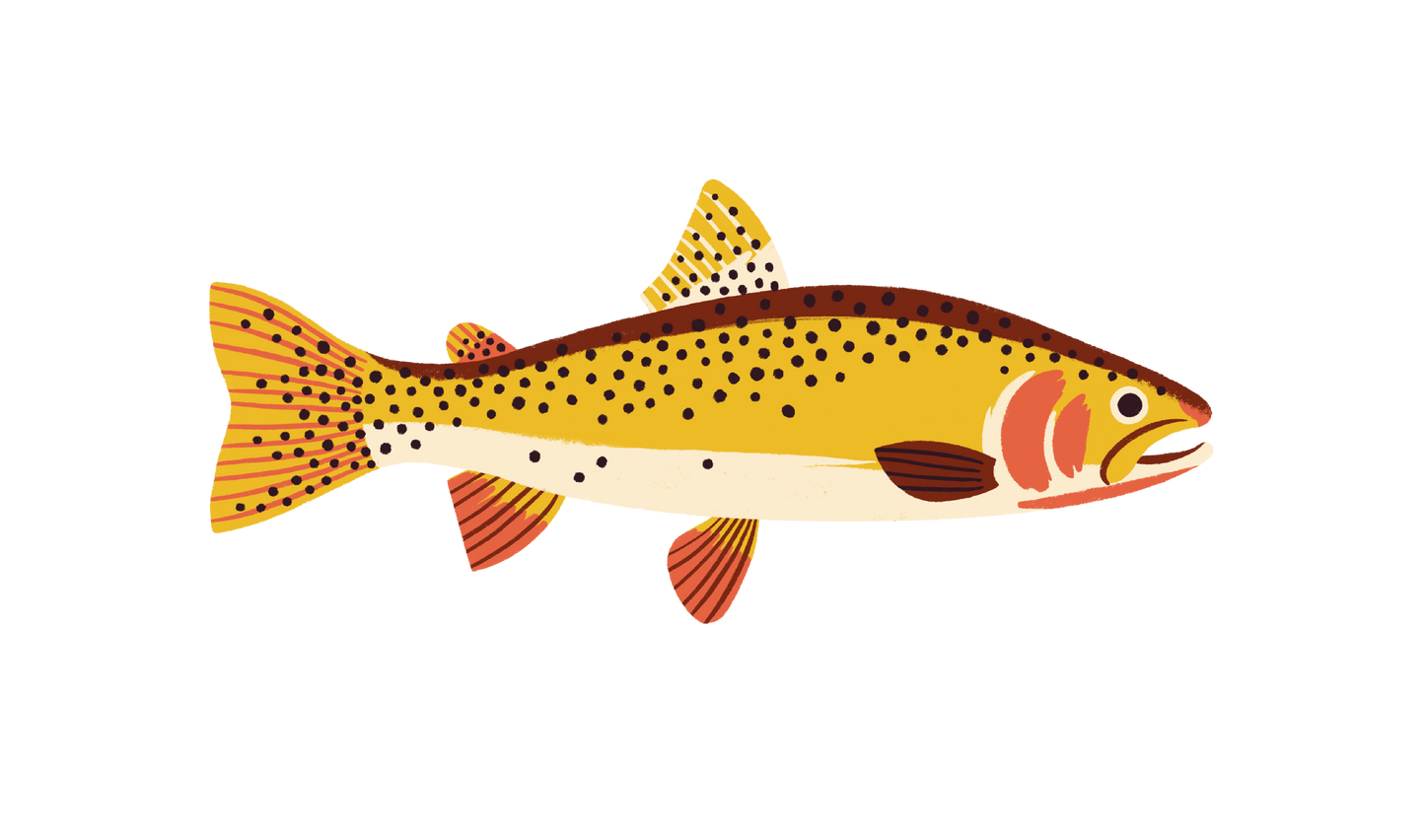 Native Trout Sticker